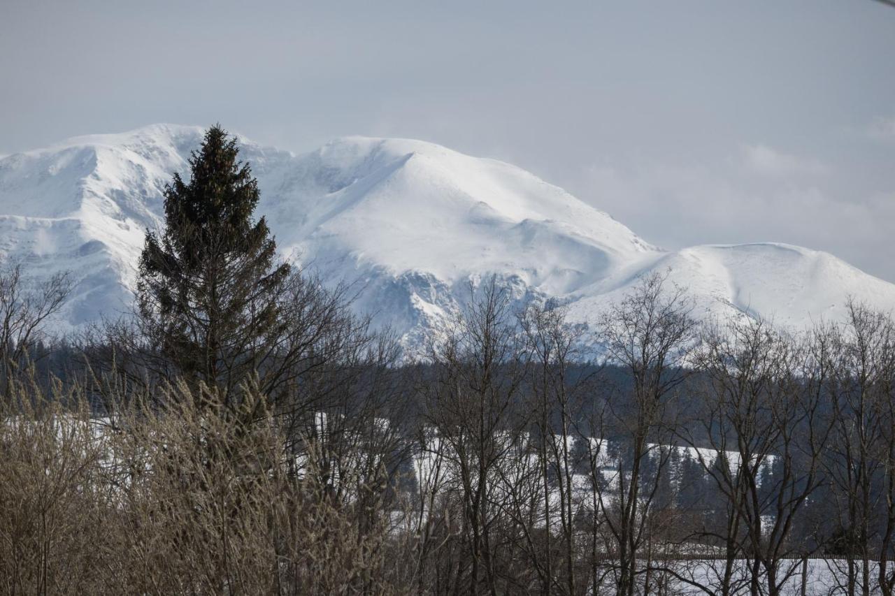 Nad Termami Villa Dzianisz Buitenkant foto