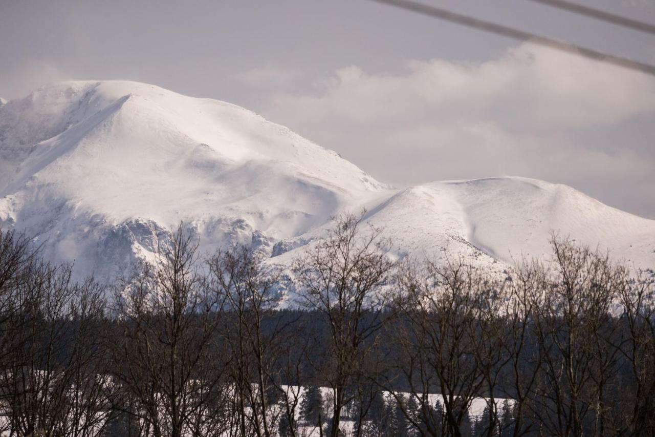 Nad Termami Villa Dzianisz Buitenkant foto