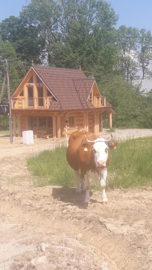 Nad Termami Villa Dzianisz Buitenkant foto